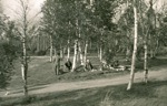 1959 Lapons à Narvik